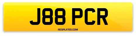 J88 PCR