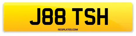 J88 TSH