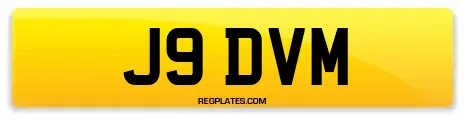 J9 DVM