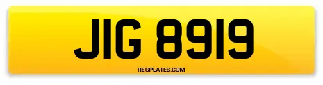 JIG 8919