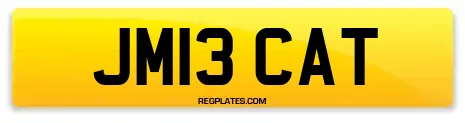 JM13 CAT
