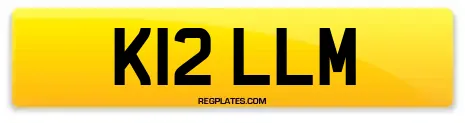 K12 LLM