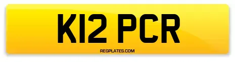 K12 PCR