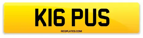 K16 PUS
