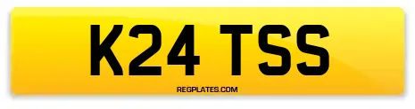 K24 TSS