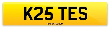 K25 TES
