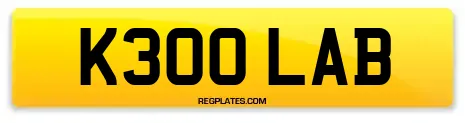 K300 LAB
