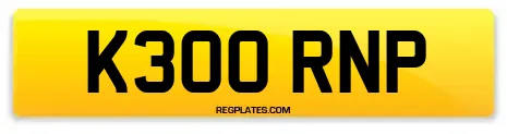K300 RNP