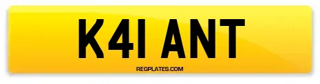 K41 ANT