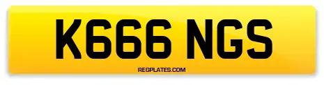 K666 NGS