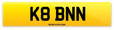 K8 BNN