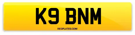 K9 BNM