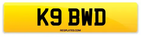 K9 BWD
