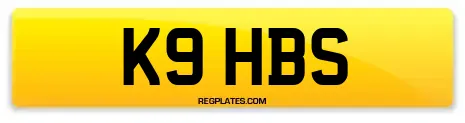 K9 HBS
