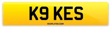 K9 KES