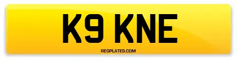 K9 KNE