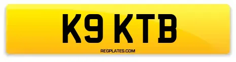 K9 KTB