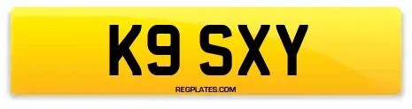 K9 SXY