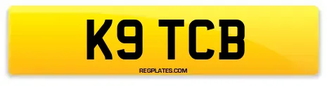 K9 TCB