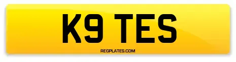 K9 TES