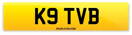 K9 TVB
