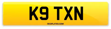 K9 TXN