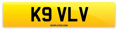 K9 VLV