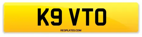 K9 VTO