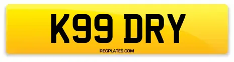 K99 DRY