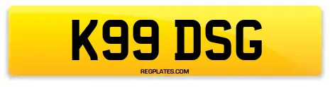 K99 DSG
