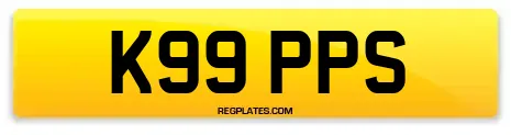 K99 PPS