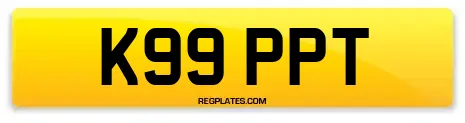K99 PPT