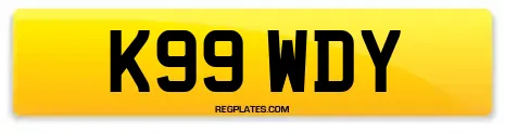 K99 WDY