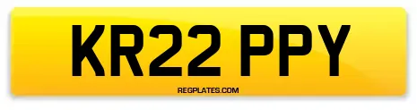 KR22 PPY