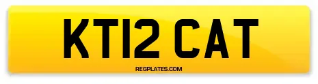 KT12 CAT