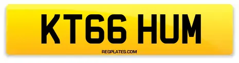 KT66 HUM