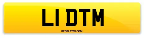 L1 DTM
