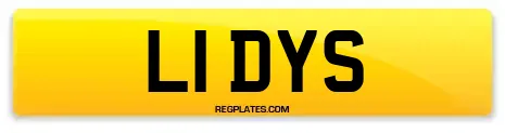 L1 DYS