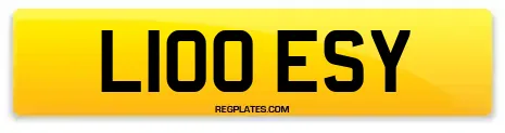 L100 ESY