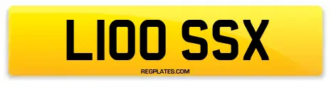 L100 SSX