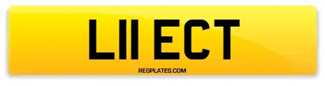 L11 ECT