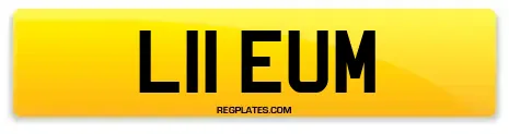 L11 EUM