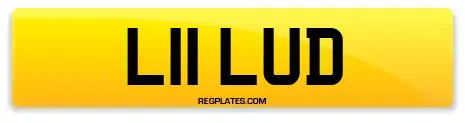 L11 LUD