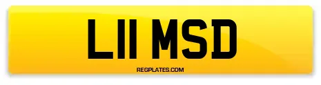 L11 MSD