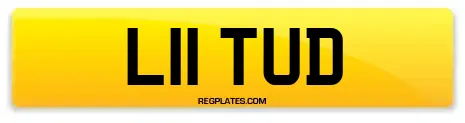 L11 TUD