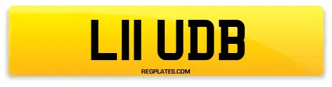 L11 UDB