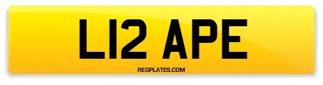 L12 APE