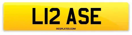 L12 ASE