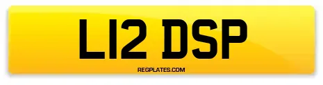 L12 DSP