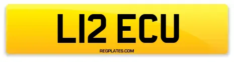 L12 ECU